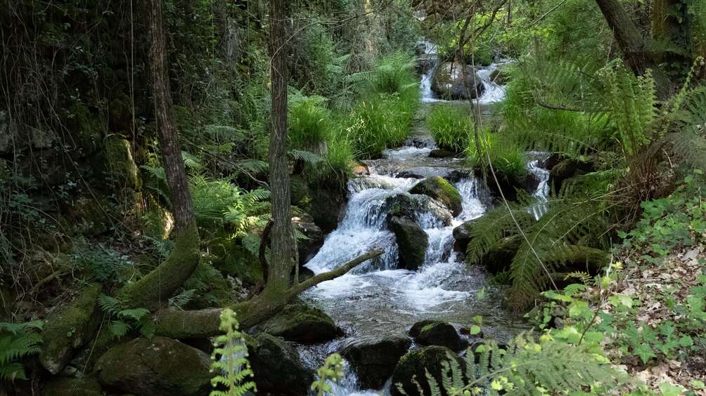 Paseo - Escarpa de Gresso