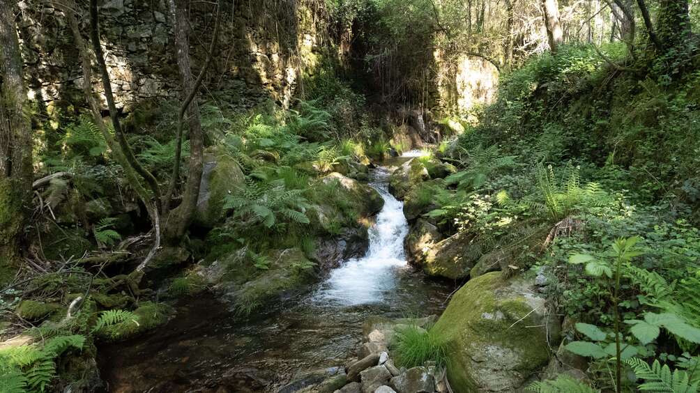 Passerelle - Gresso Escarpment