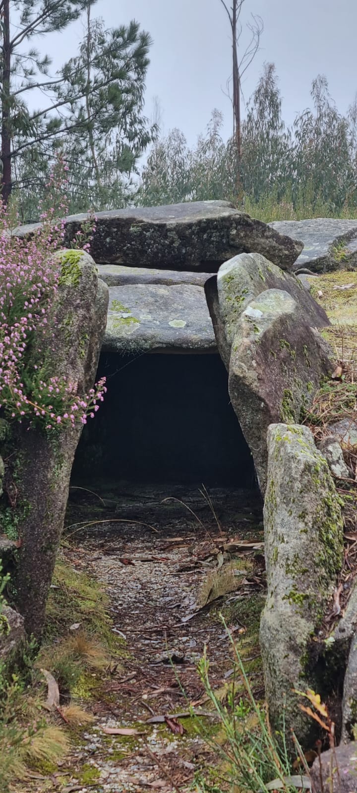 Dólmen da Capela dos Mouros