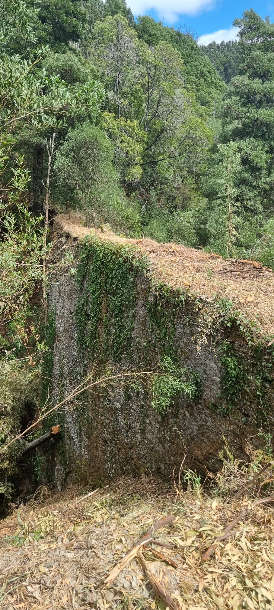 Linha Mineira do Braçal - Antigua línea de Vagonetes