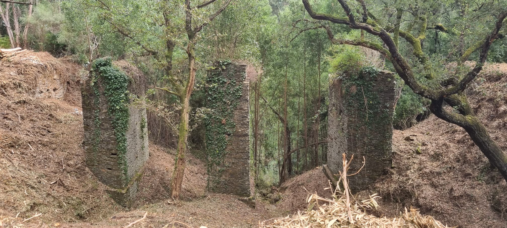 Linha Mineira do Braçal - Ancienne ligne Vagonetes