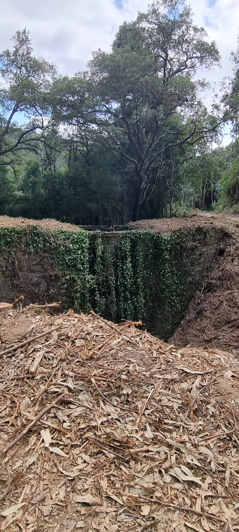 Linha Mineira do Braçal - Antiga Linha das Vagonetes