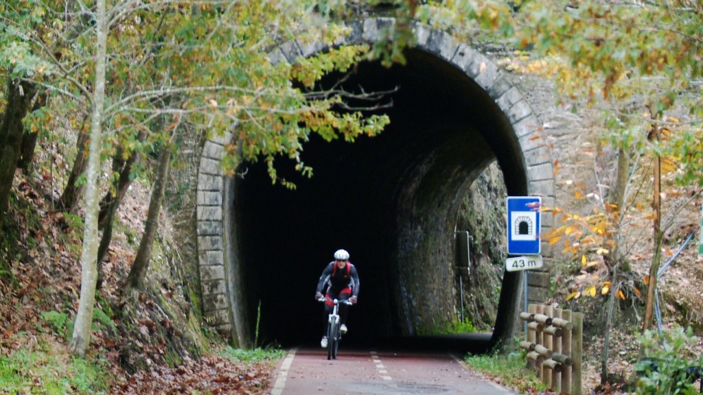 Railway tunnels