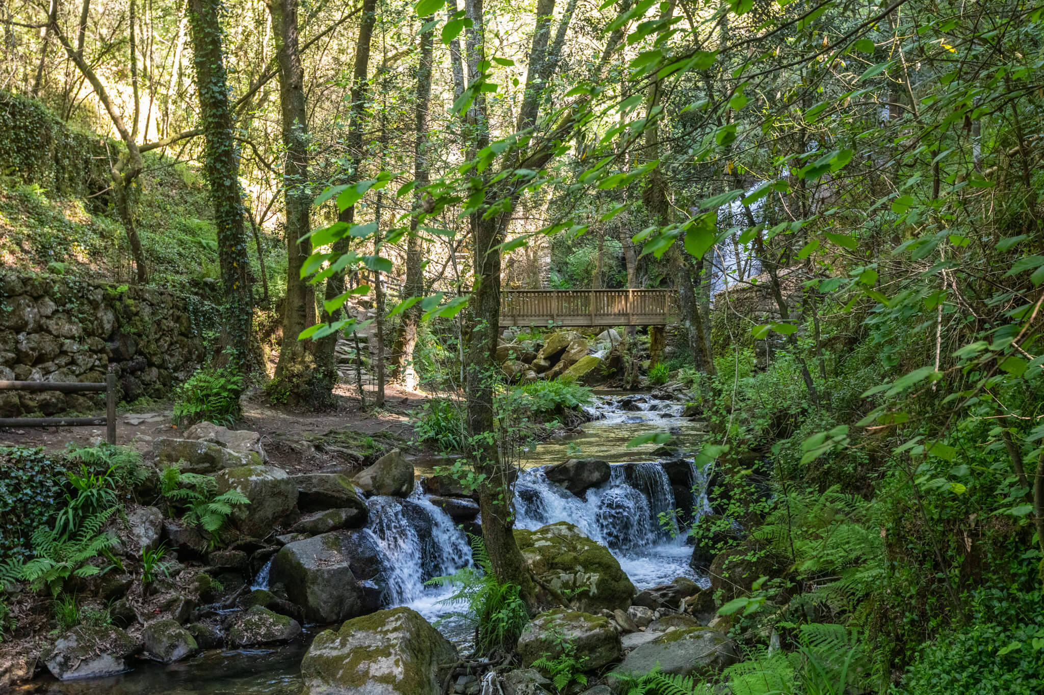 Gran Ruta de las Montañas Mágicas