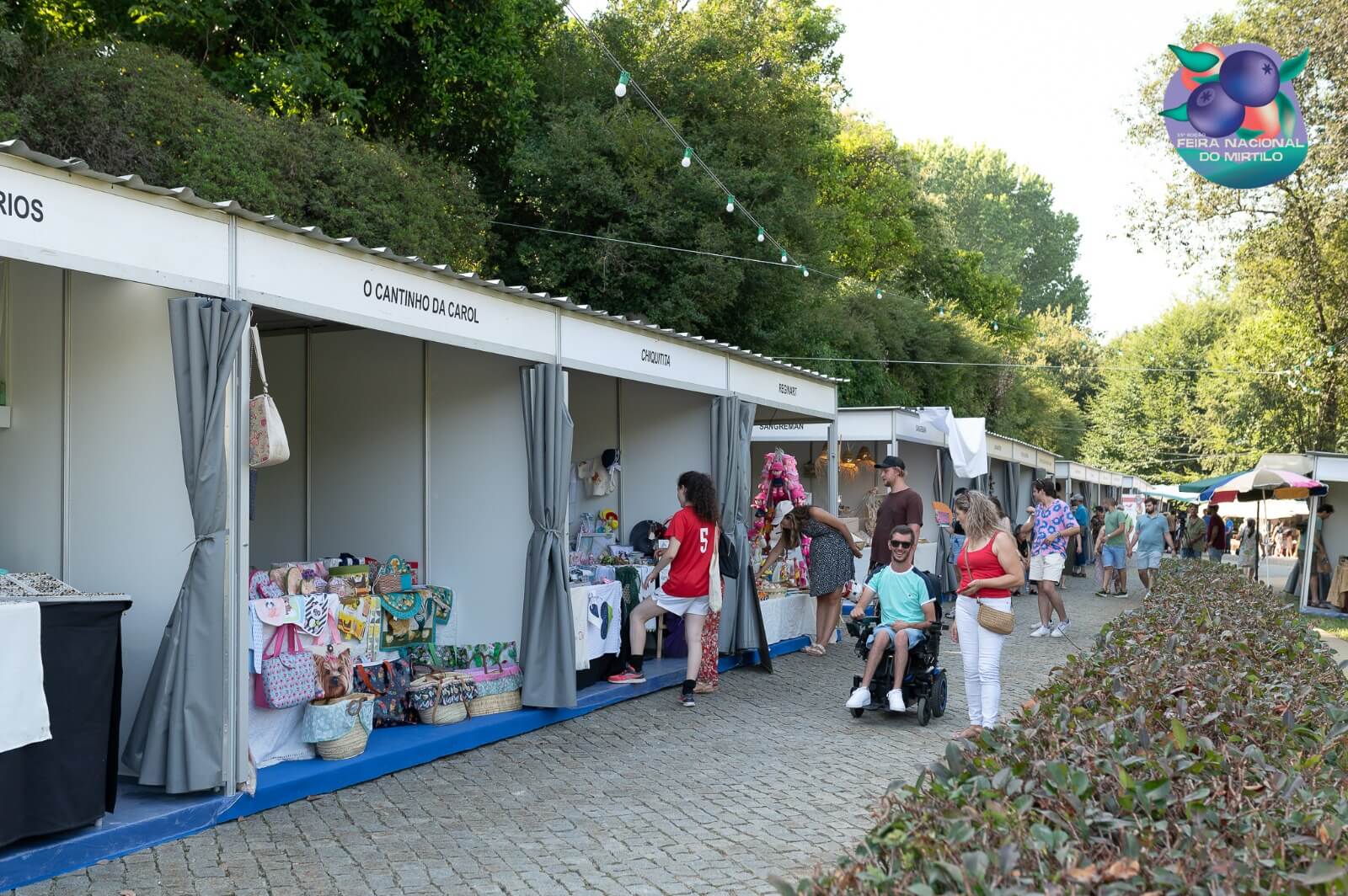 Foire nationale de la myrtille