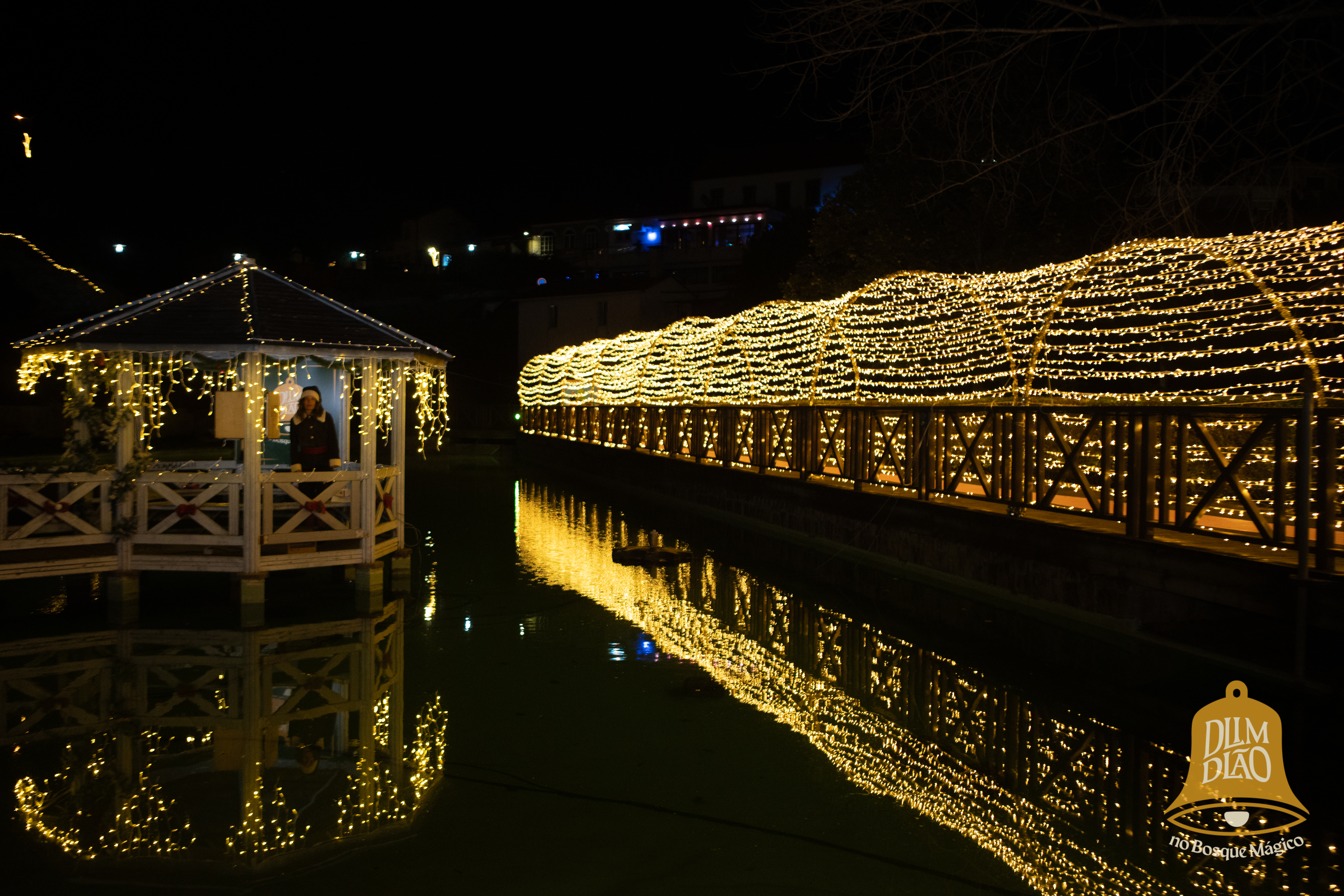 Dlim Dlão no Bosque Mágico/ Iluminação Natalícia e Campanha de Natal "Compre no Comércio Local"