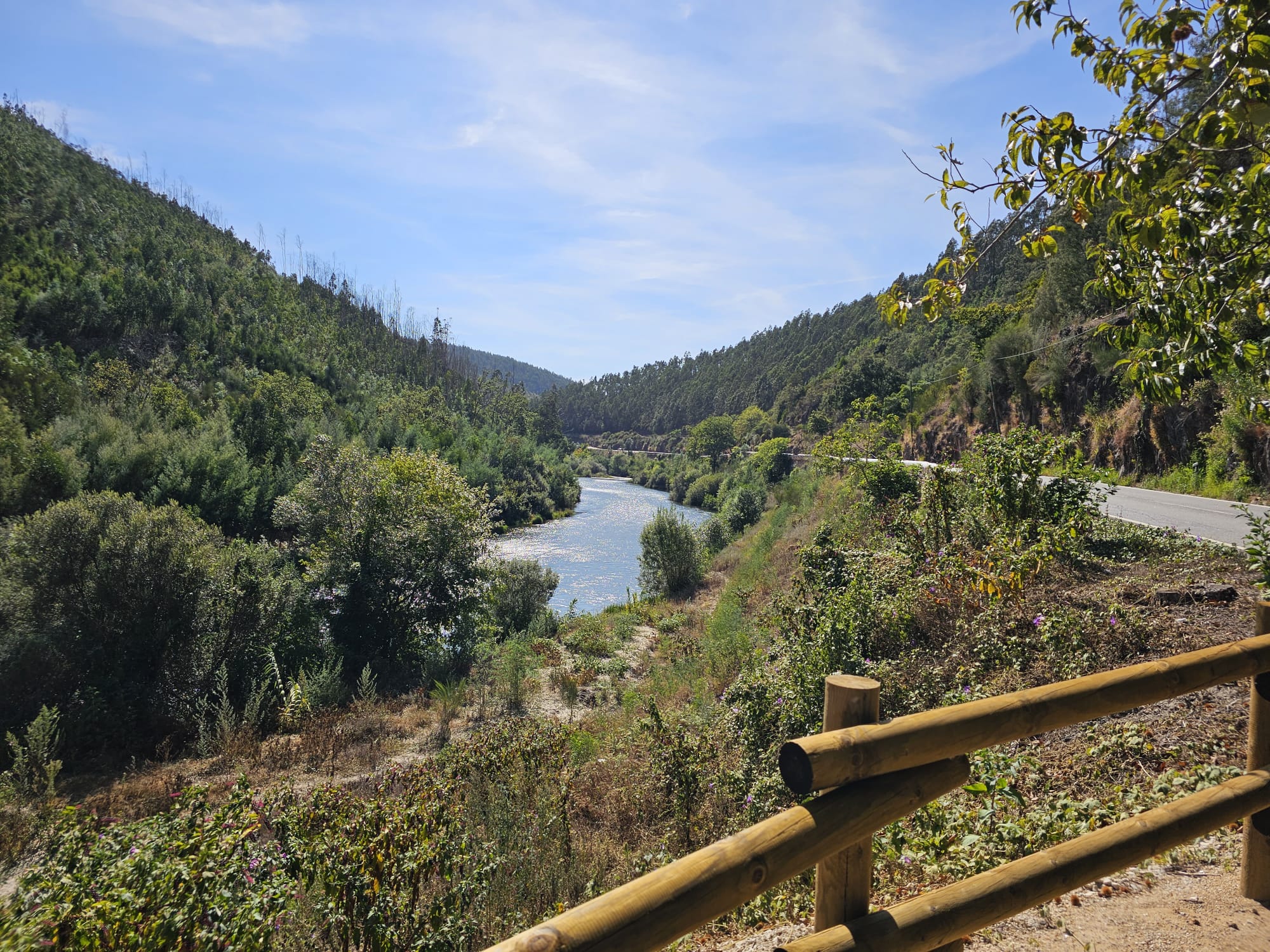 Vouga Viewpoints