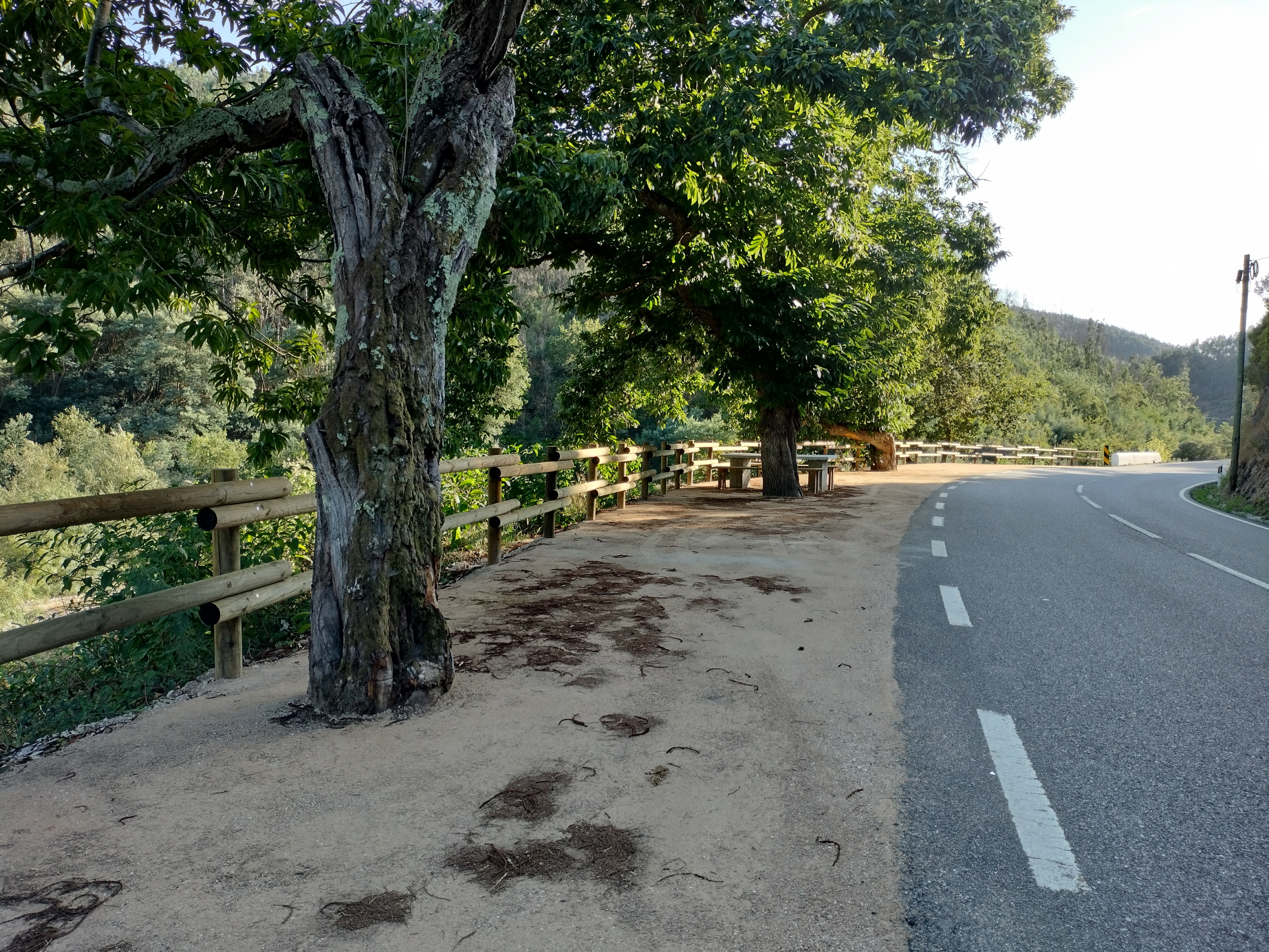 Vouga Viewpoints