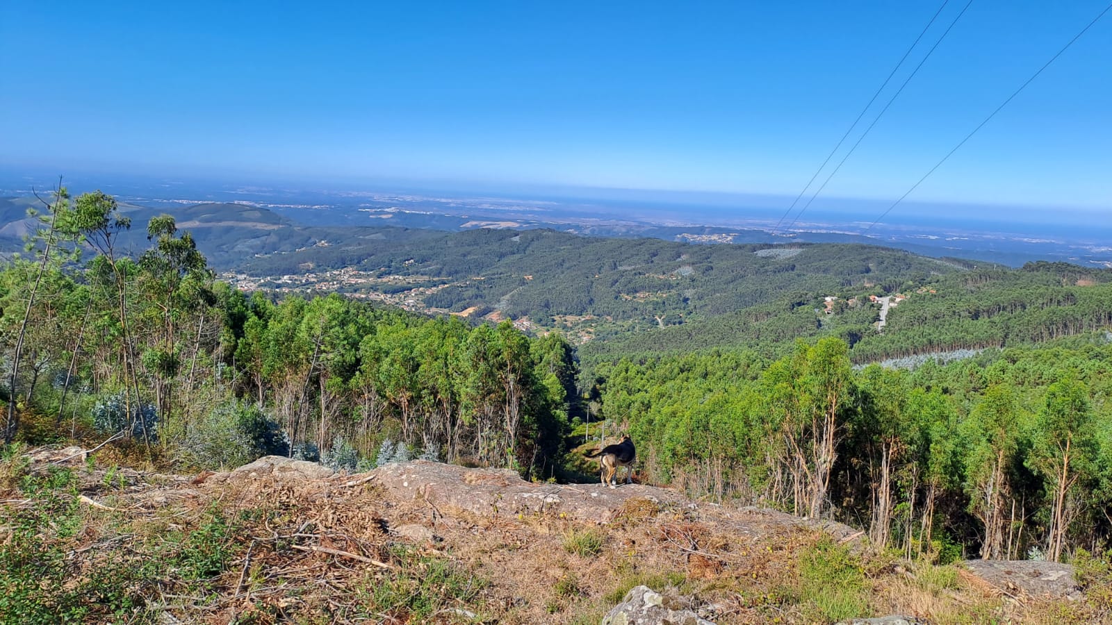 Serra do Arestal