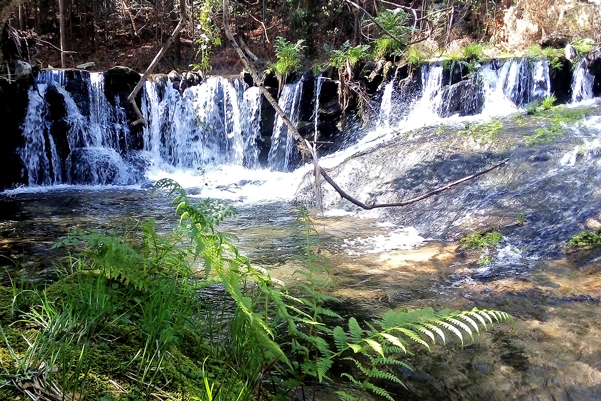 Carrazedo Stream Waterfall