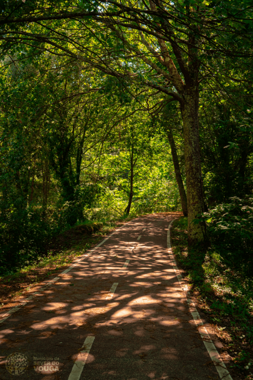 Vouga Ecotrailway/ Antigua línea ferroviaria