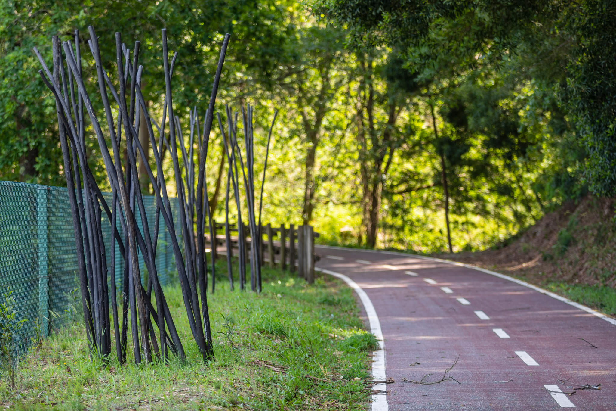 Vouga Ecotrailway/ Antigua línea ferroviaria