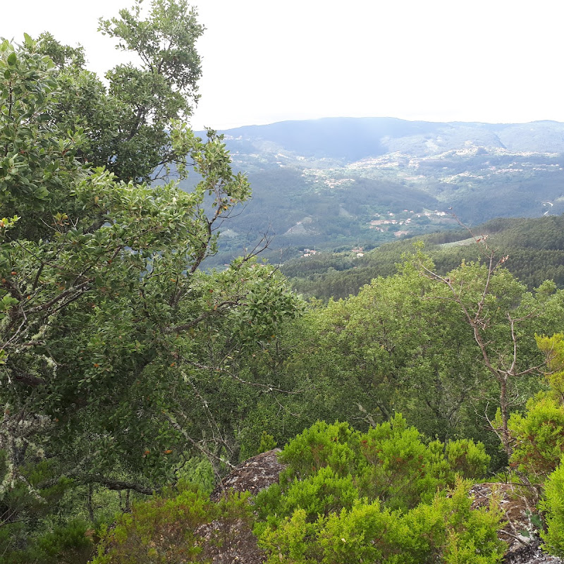 Monte do Castêlo