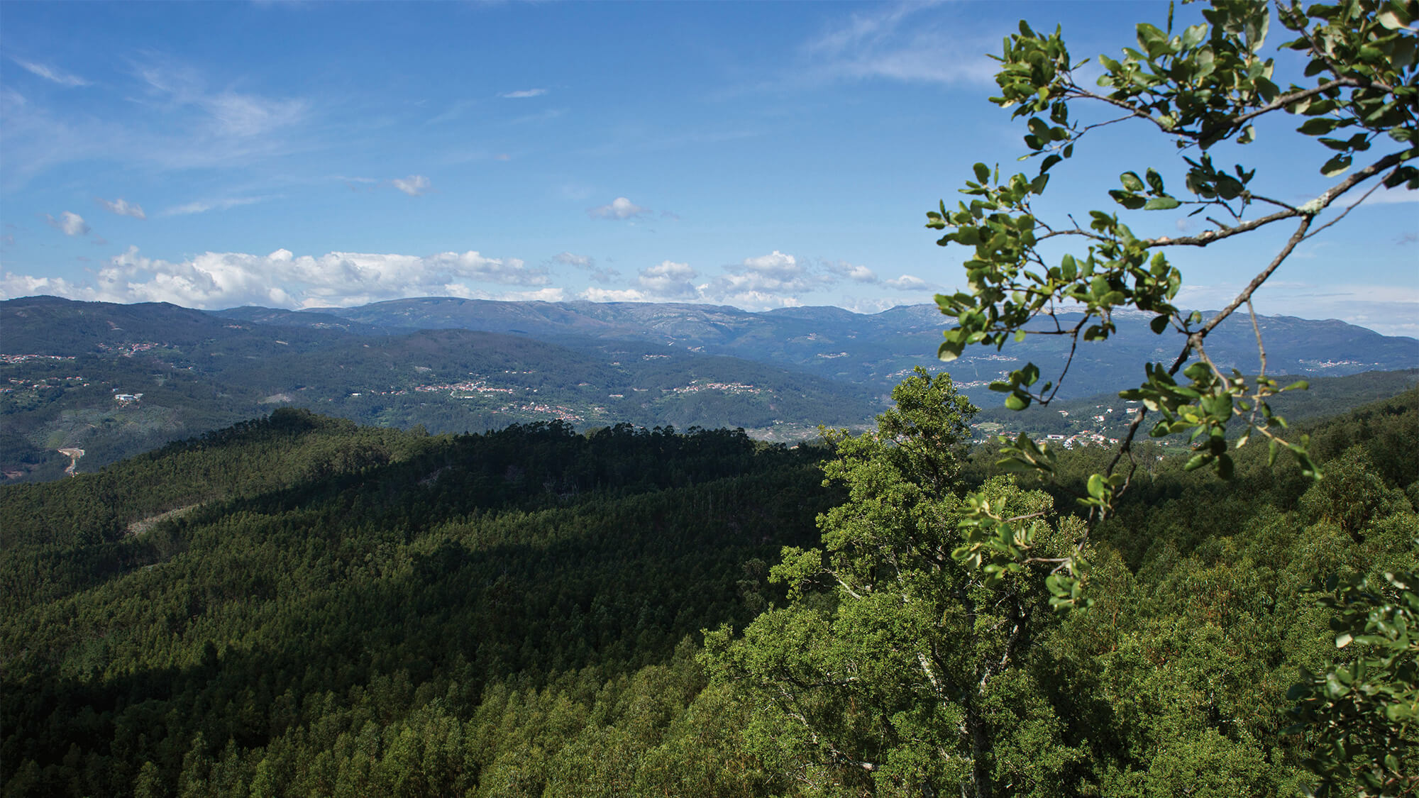 Monte do Castêlo