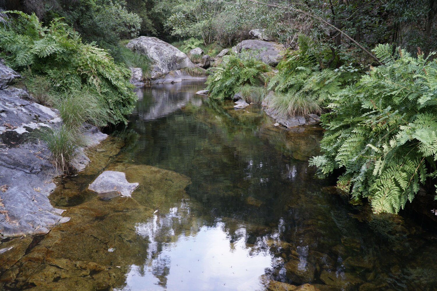 Lordelo River