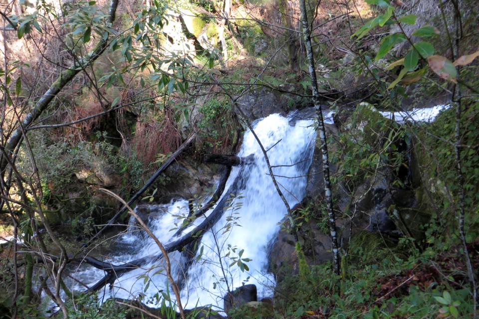 Parque de Areeiro